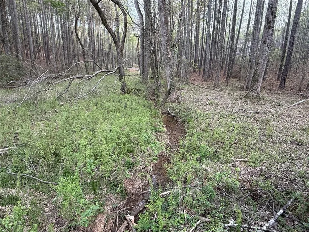 00 Henderson Mountain Road Fairmount, GA 30139