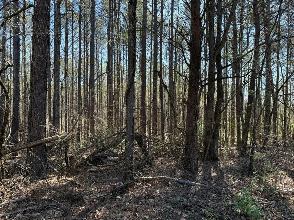 00 Henderson Mountain Road Fairmount, GA 30139