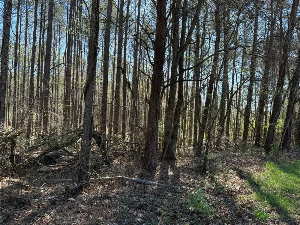 00 Henderson Mountain Road Fairmount, GA 30139