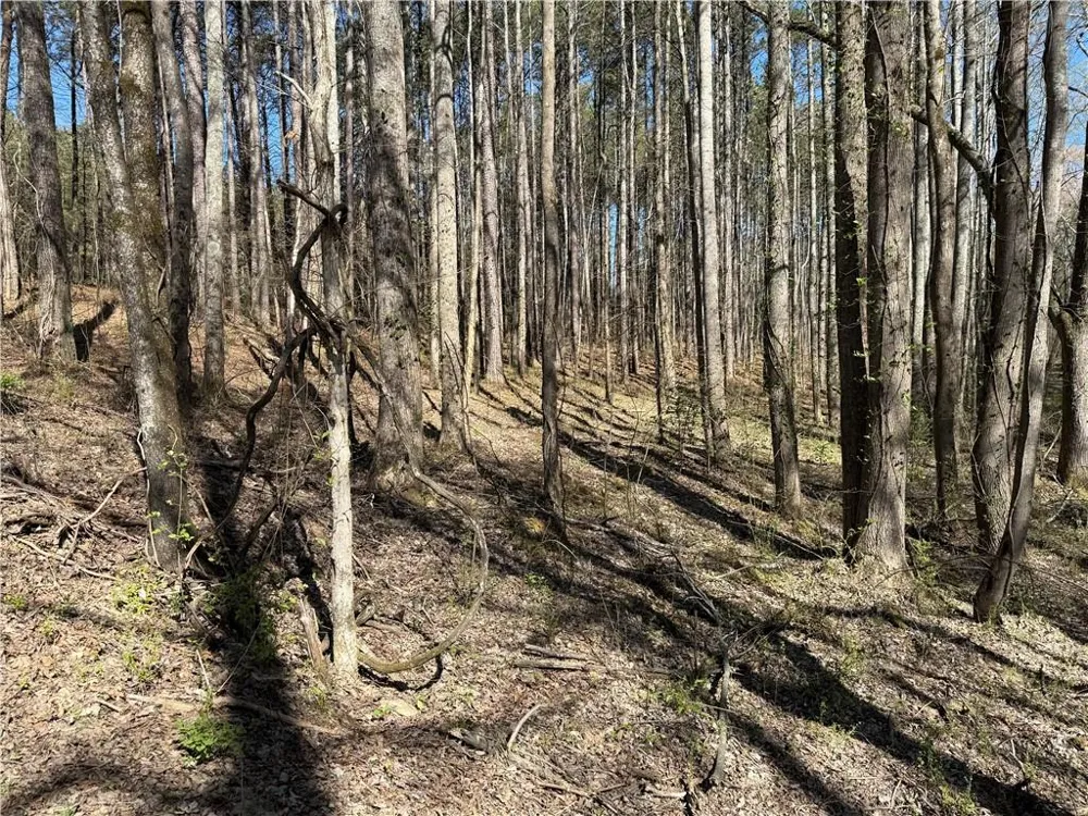 00 Henderson Mountain Road Fairmount, GA 30139