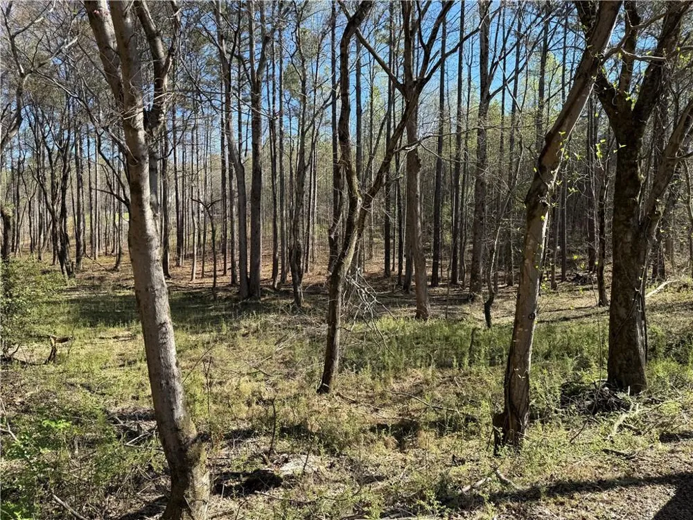 00 Henderson Mountain Road Fairmount, GA 30139