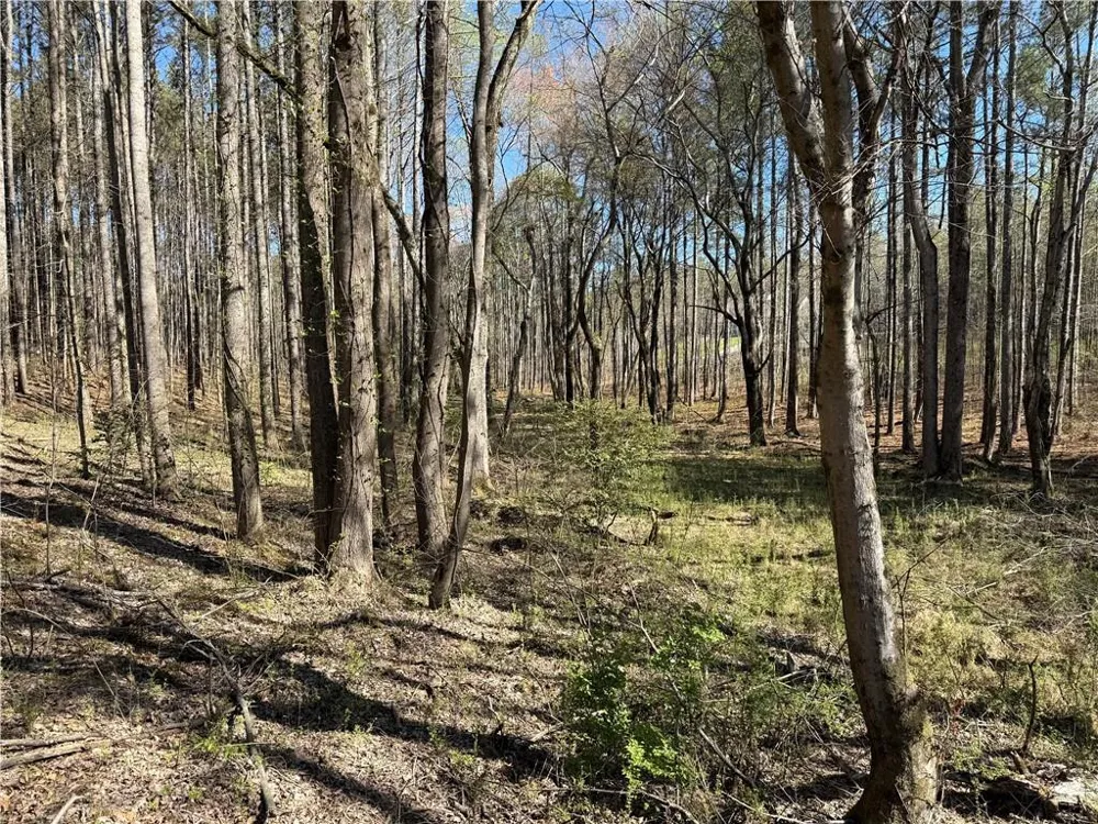 00 Henderson Mountain Road Fairmount, GA 30139