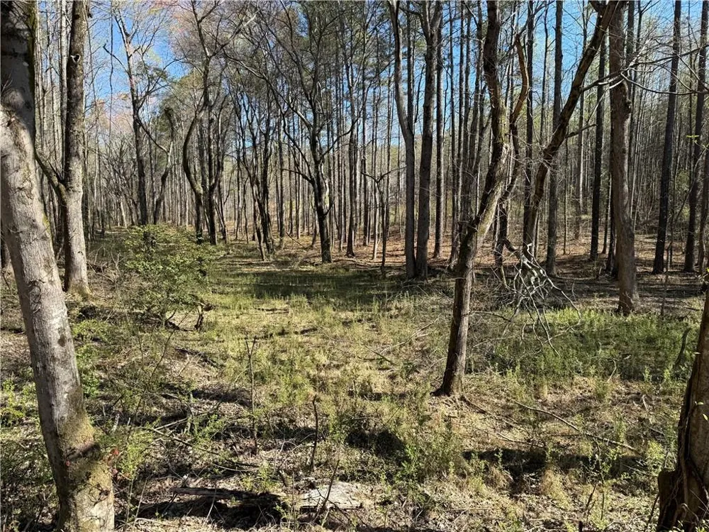 00 Henderson Mountain Road Fairmount, GA 30139