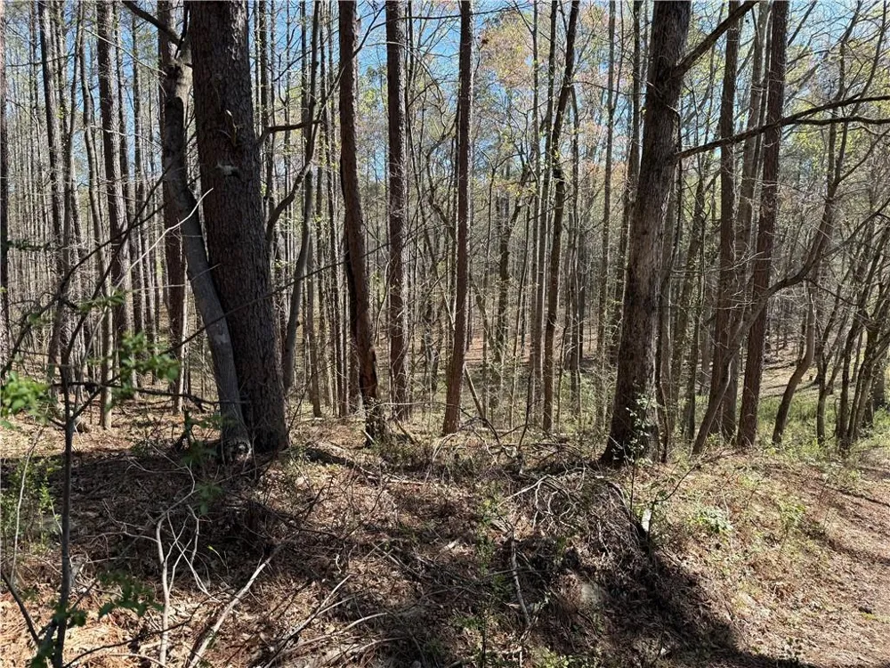 00 Henderson Mountain Road Fairmount, GA 30139