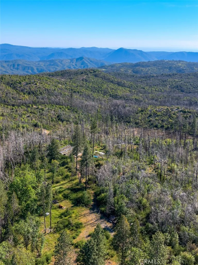 Four M Court Berry Creek, CA 95916