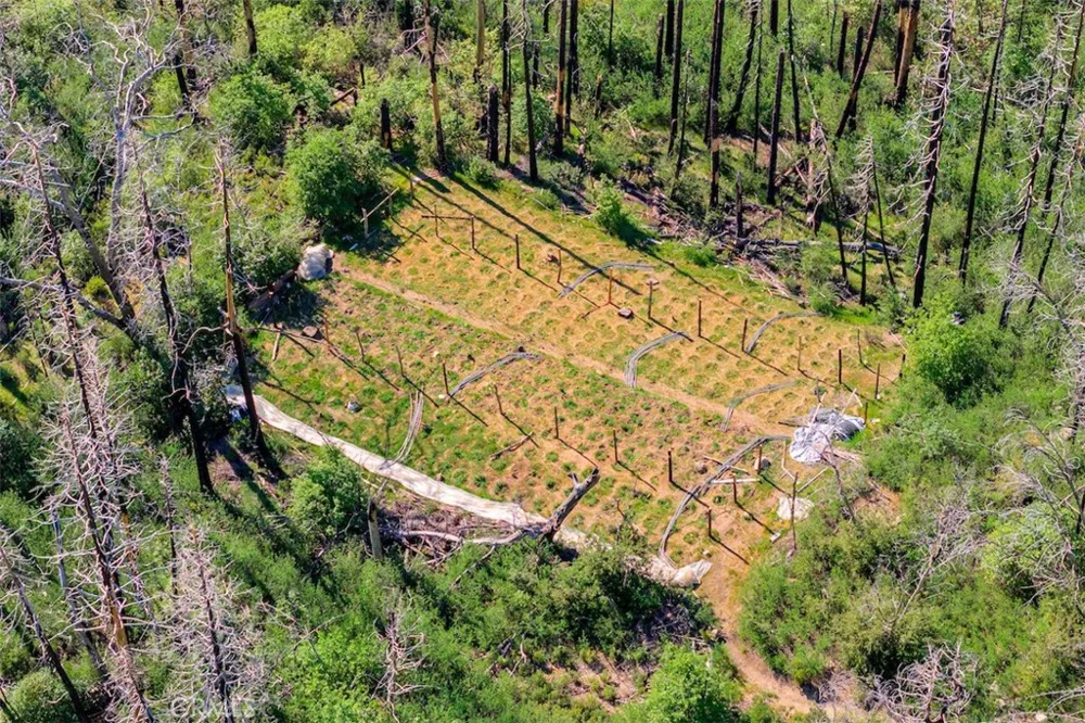 Four M Court Berry Creek, CA 95916