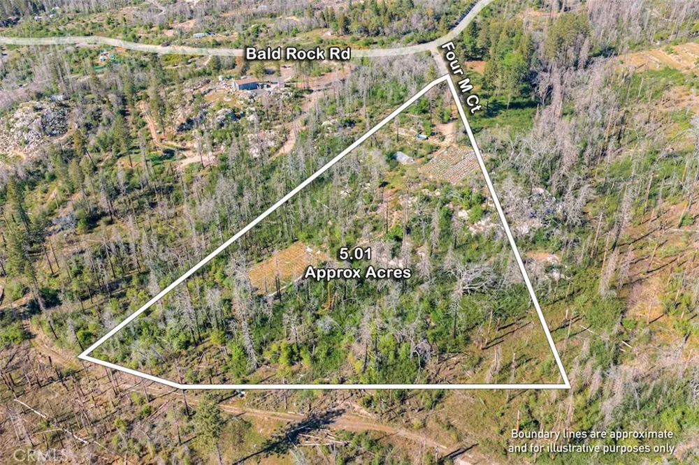 Four M Court Berry Creek, CA 95916