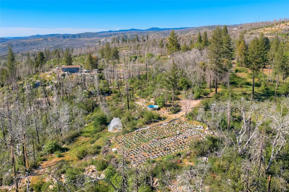 Four M Court Berry Creek, CA 95916