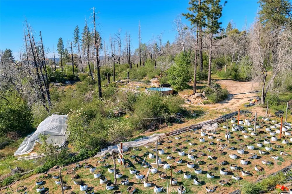 Four M Court Berry Creek, CA 95916