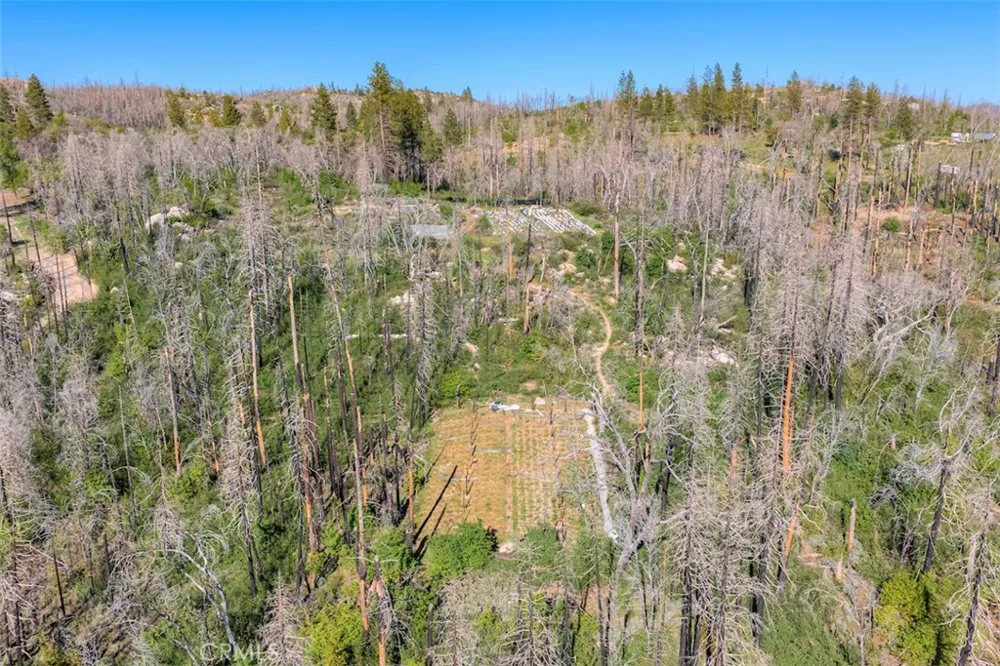 Four M Court Berry Creek, CA 95916