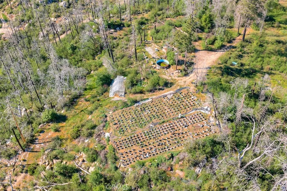 Four M Court Berry Creek, CA 95916