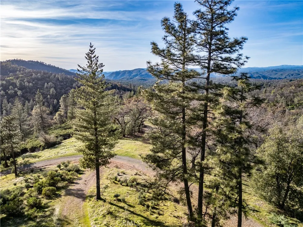 5314 Wilderness View Drive Mariposa, CA 95338