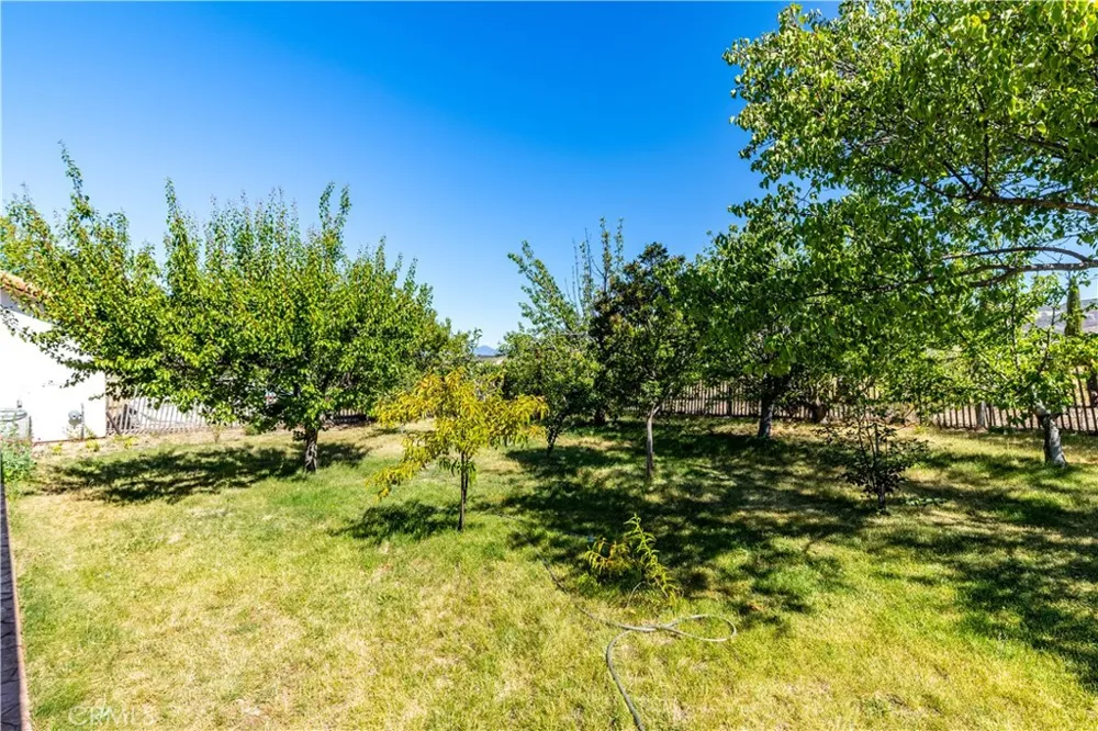 65380 San Lucas Lockwood, CA 93932