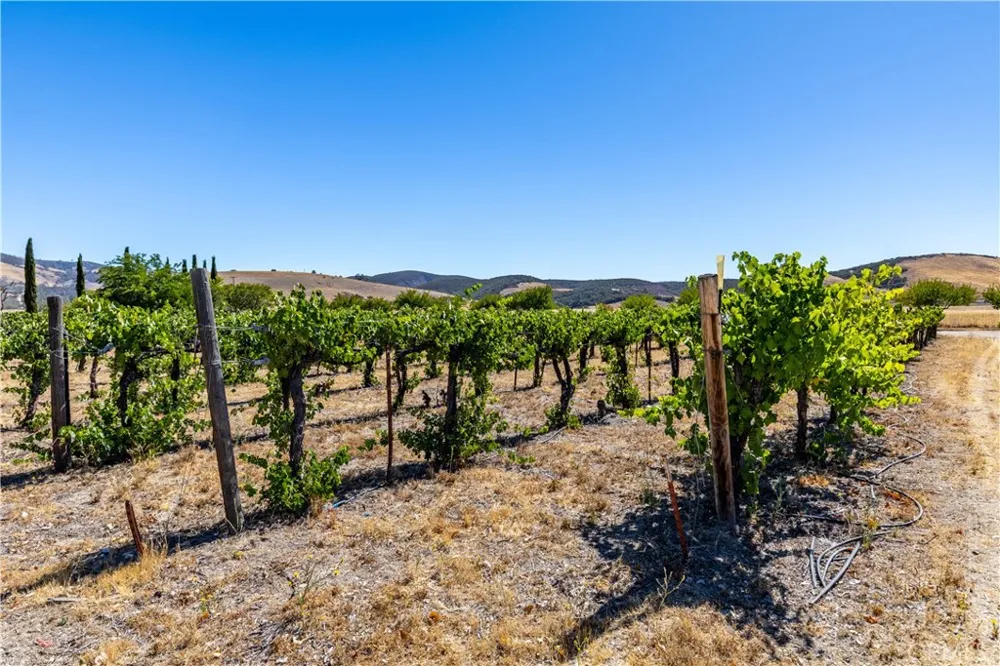 65380 San Lucas Lockwood, CA 93932