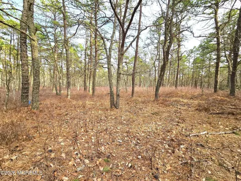 Birchwood Drive