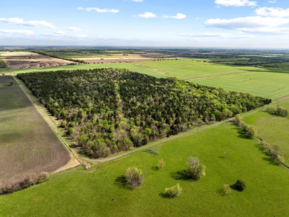 County Road 3230 Ben Franklin, TX 75415