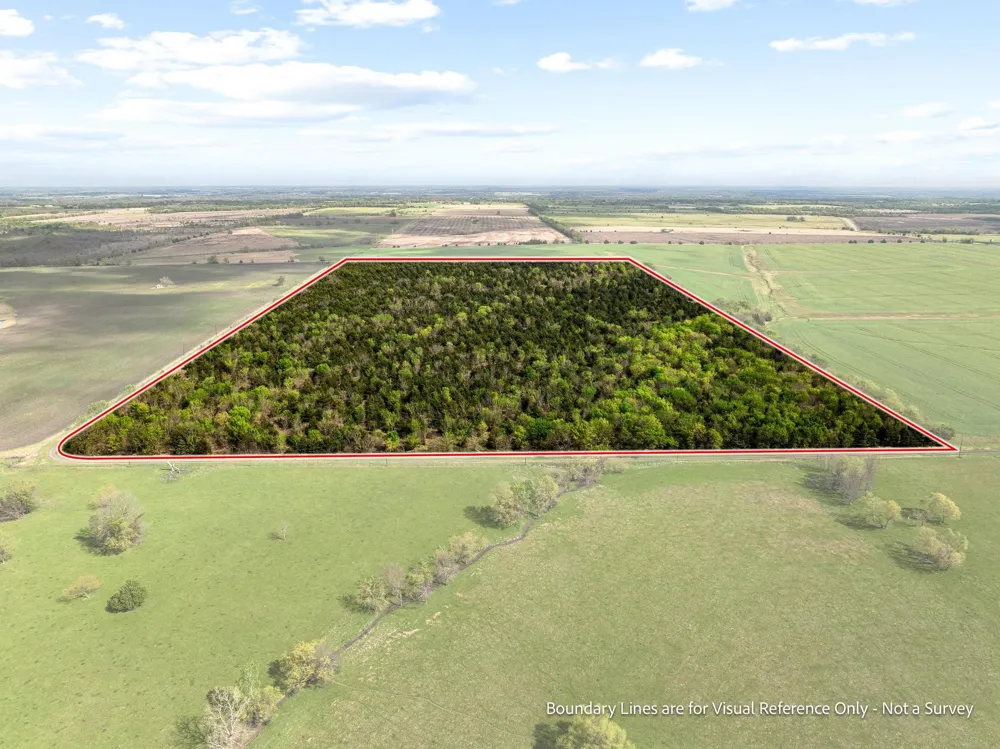 County Road 3230 Ben Franklin, TX 75415