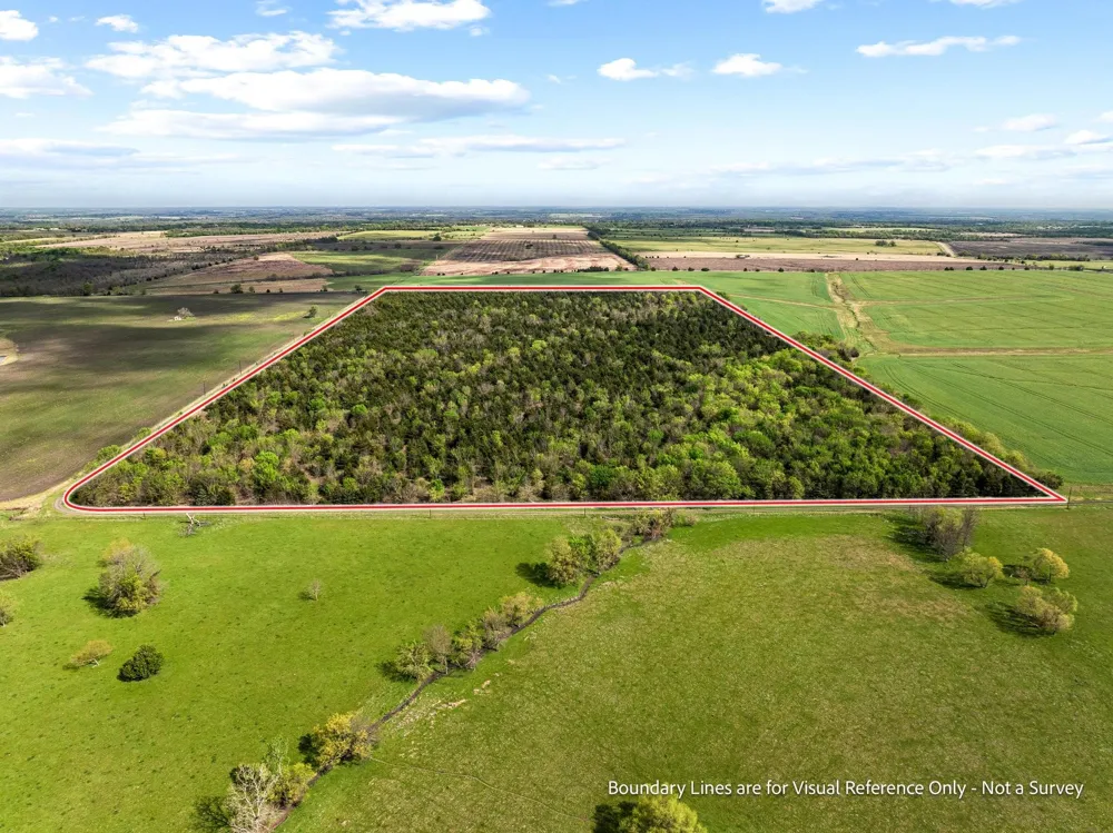 County Road 3230 Ben Franklin, TX 75415
