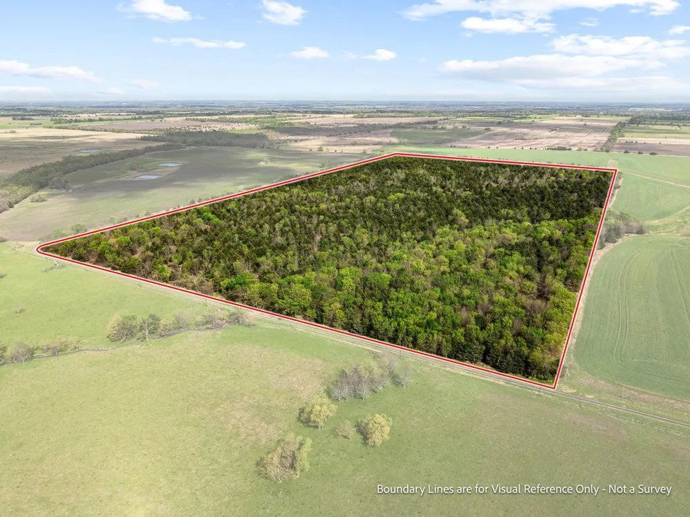 County Road 3230 Ben Franklin, TX 75415