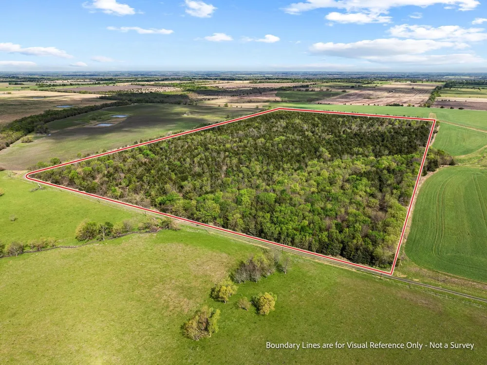 County Road 3230 Ben Franklin, TX 75415