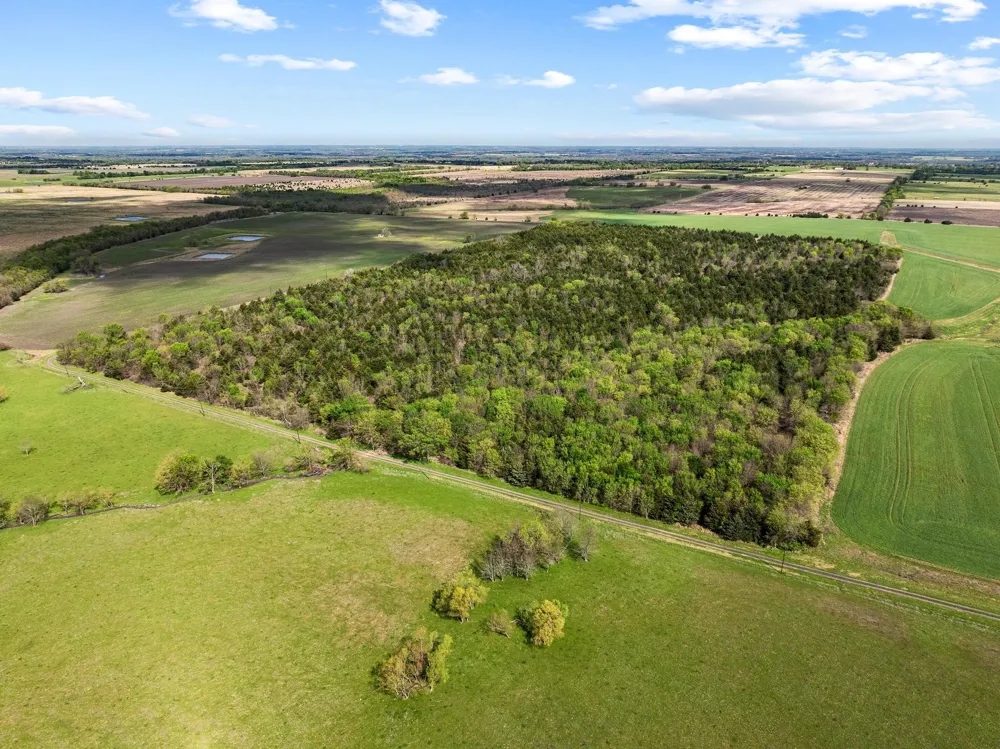 County Road 3230 Ben Franklin, TX 75415