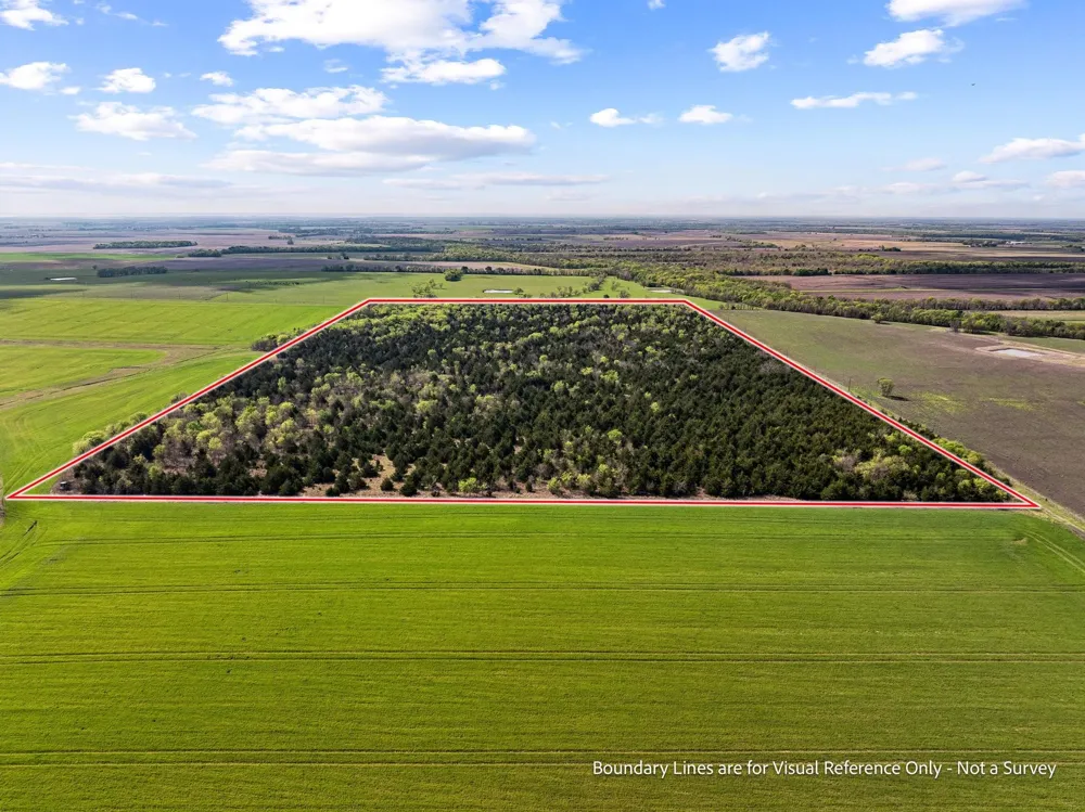 County Road 3230 Ben Franklin, TX 75415