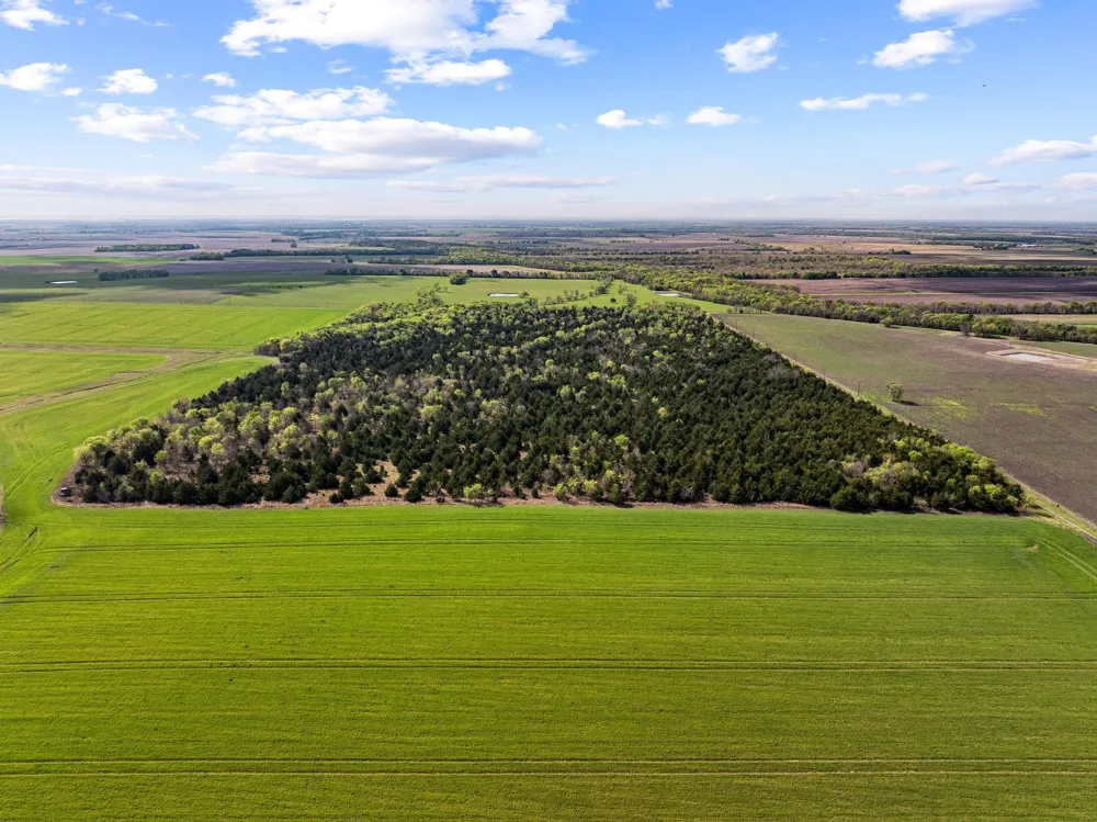County Road 3230 Ben Franklin, TX 75415