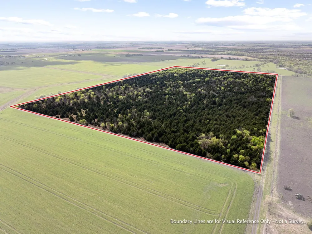 County Road 3230 Ben Franklin, TX 75415