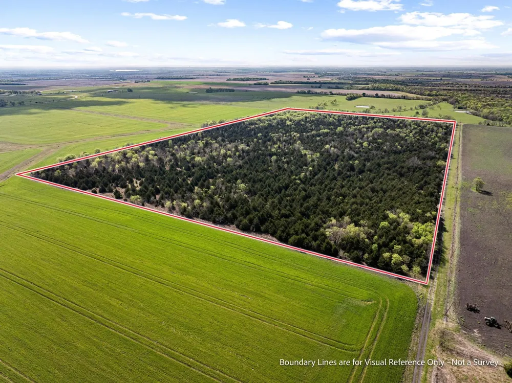 County Road 3230 Ben Franklin, TX 75415