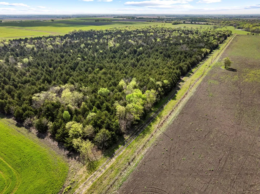 County Road 3230 Ben Franklin, TX 75415