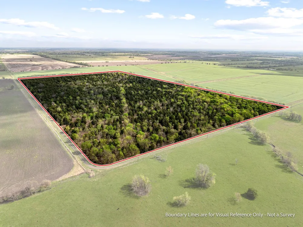 County Road 3230 Ben Franklin, TX 75415