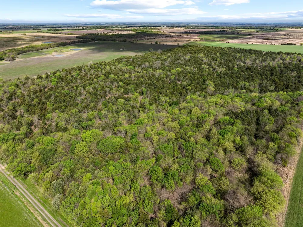 County Road 3230 Ben Franklin, TX 75415