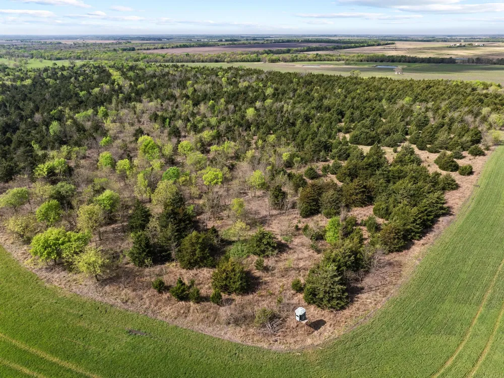 County Road 3230 Ben Franklin, TX 75415