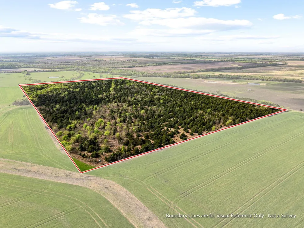 County Road 3230 Ben Franklin, TX 75415