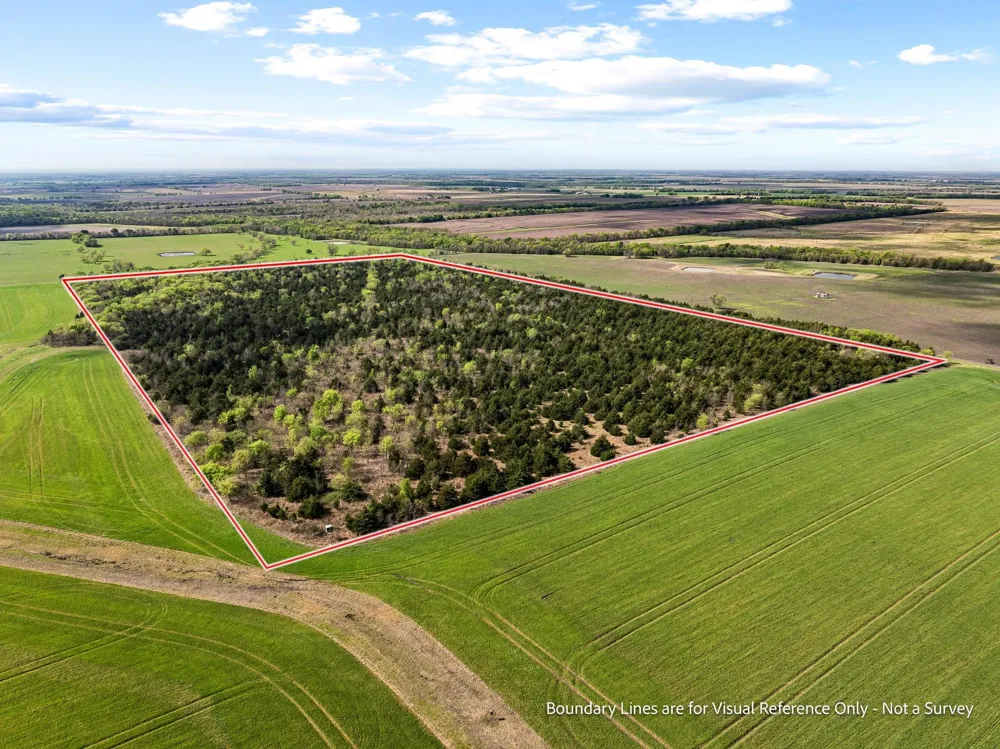County Road 3230 Ben Franklin, TX 75415