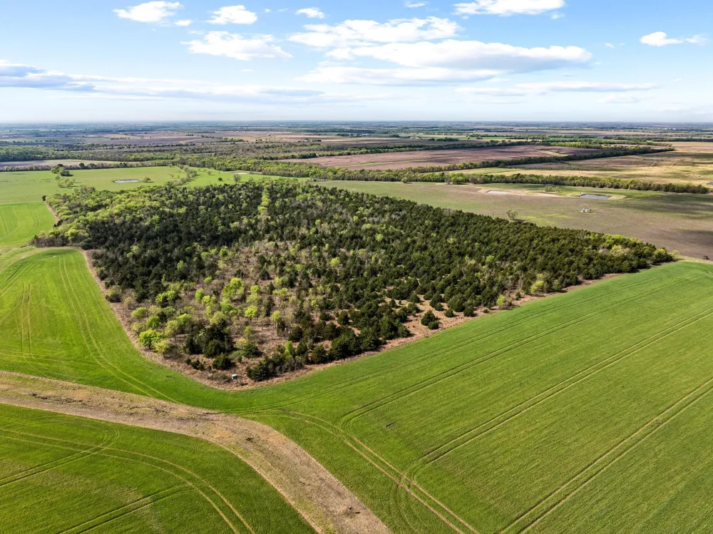 County Road 3230 Ben Franklin, TX 75415