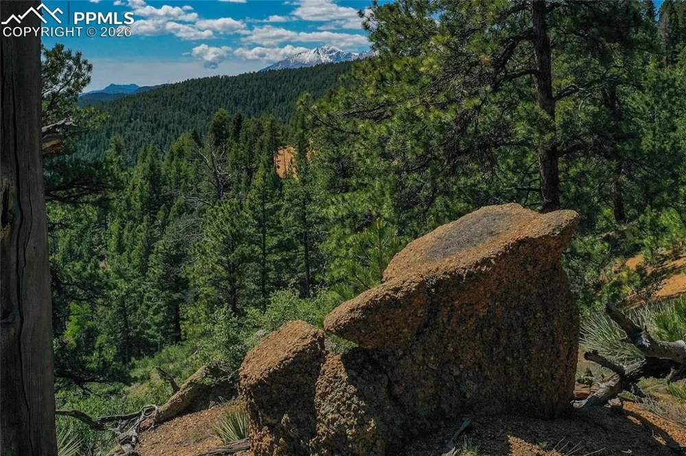 29545 Highway 67 Woodland Park, CO 80863