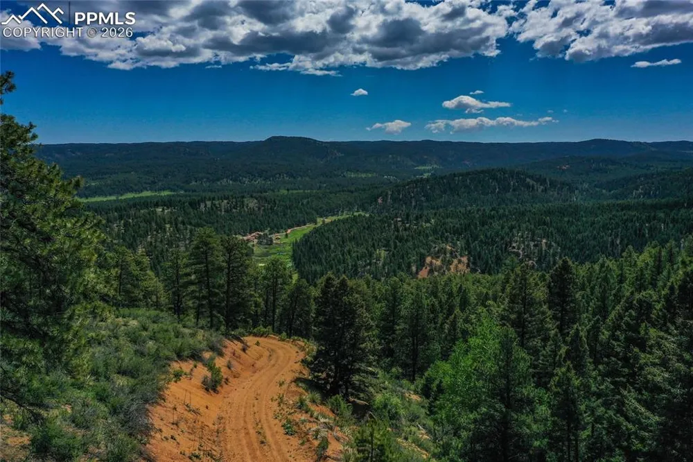 29545 Highway 67 Woodland Park, CO 80863
