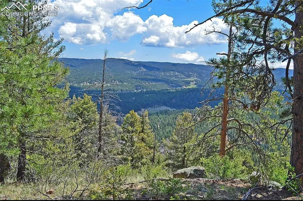29545 Highway 67 Woodland Park, CO 80863