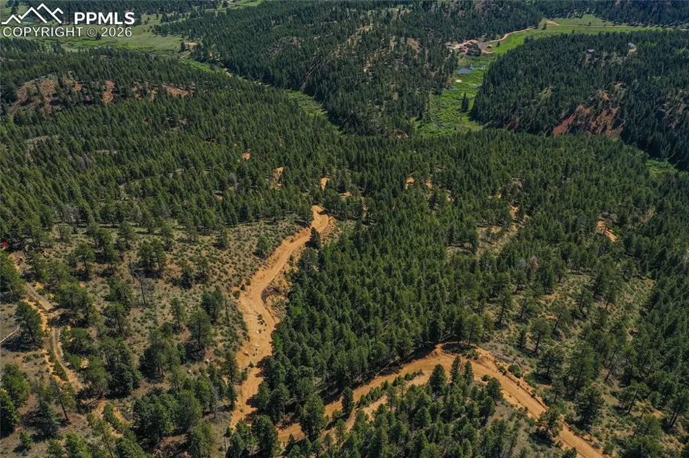 29545 Highway 67 Woodland Park, CO 80863