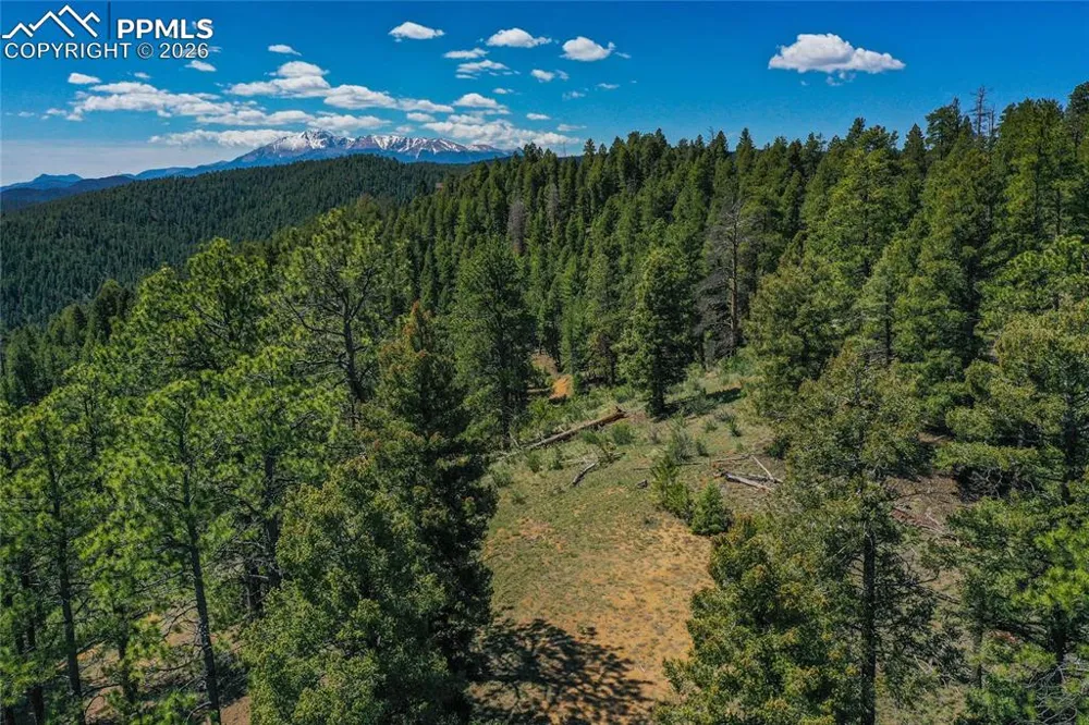 29545 Highway 67 Woodland Park, CO 80863