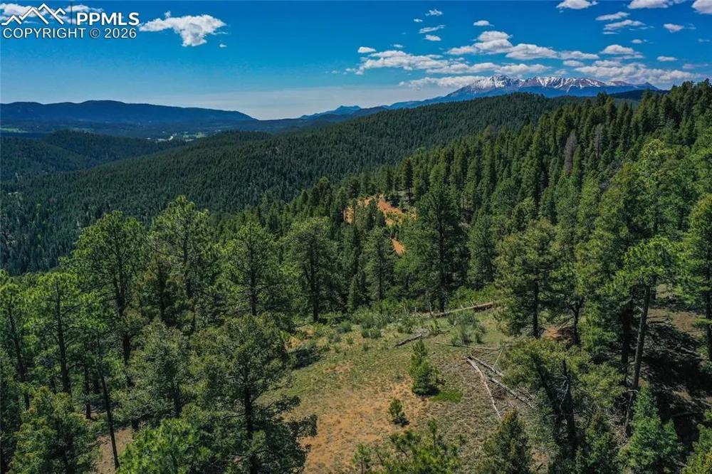 29545 Highway 67 Woodland Park, CO 80863