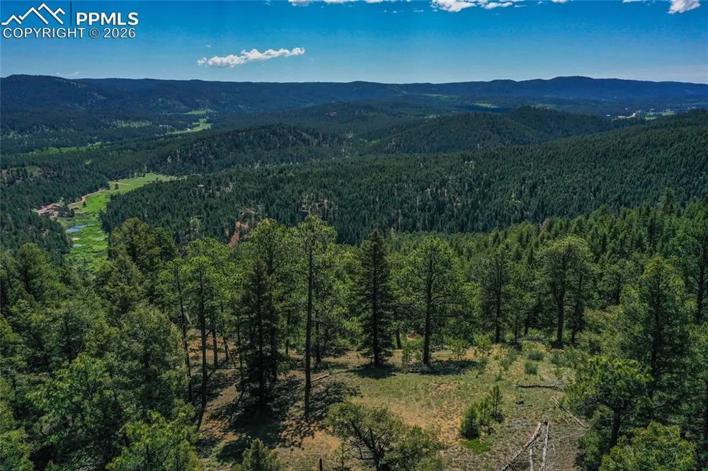 29545 Highway 67 Woodland Park, CO 80863