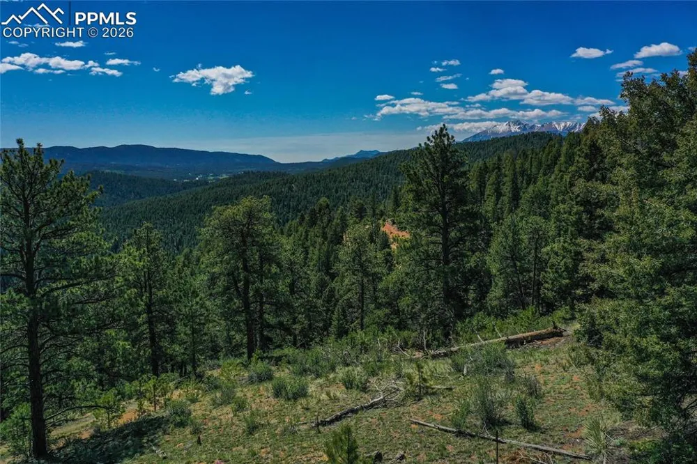 29545 Highway 67 Woodland Park, CO 80863