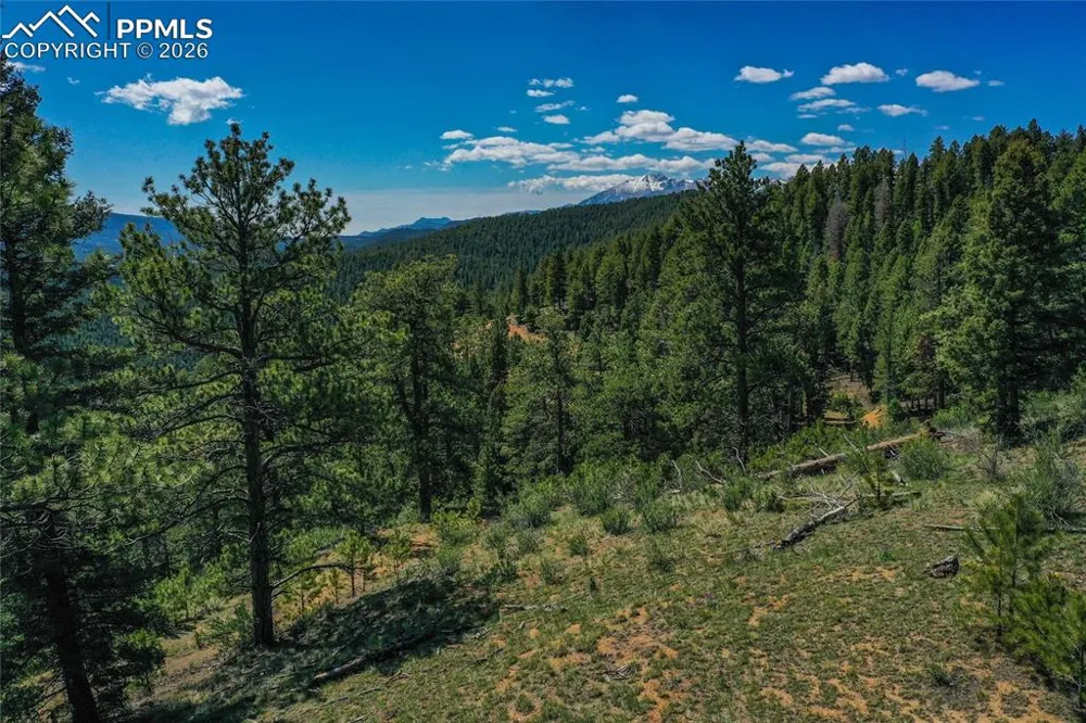 29545 Highway 67 Woodland Park, CO 80863