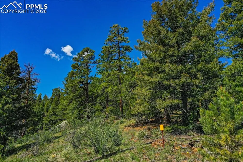 29545 Highway 67 Woodland Park, CO 80863