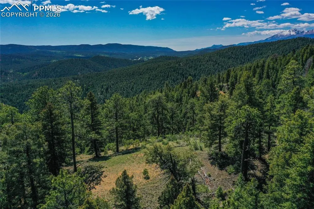 29545 Highway 67 Woodland Park, CO 80863