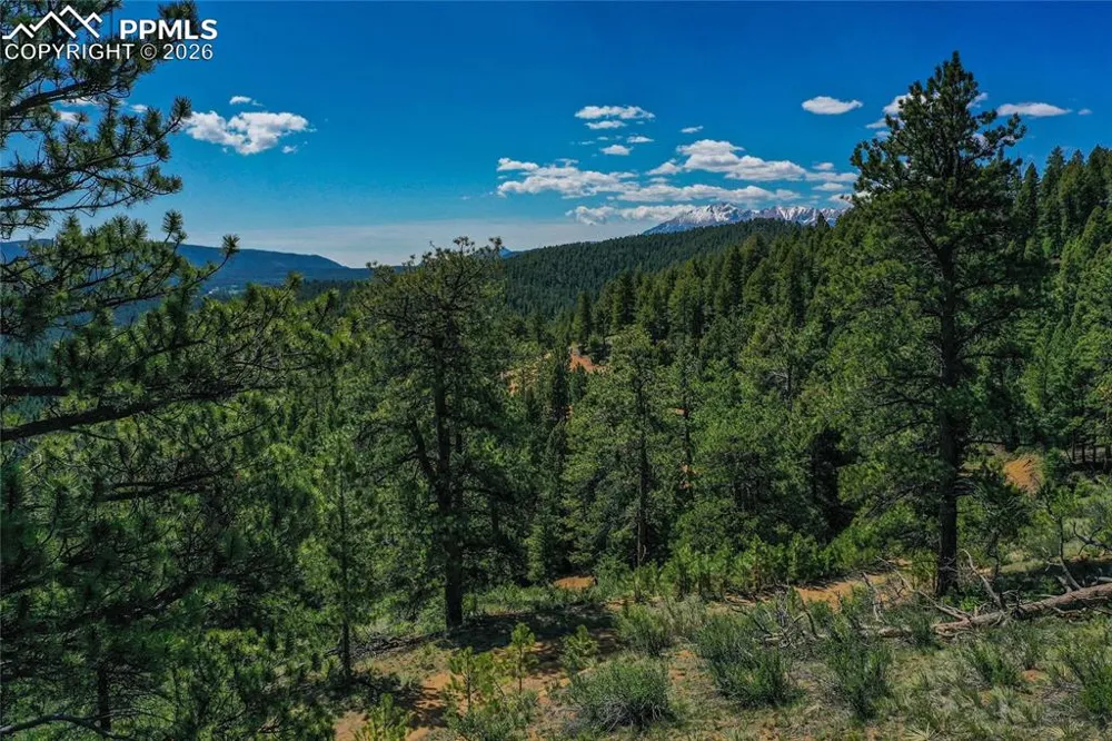 29545 Highway 67 Woodland Park, CO 80863