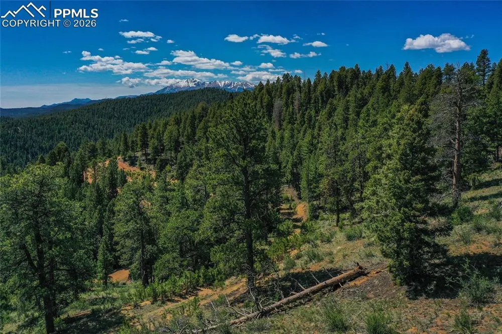29545 Highway 67 Woodland Park, CO 80863