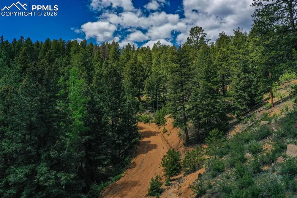 29545 Highway 67 Woodland Park, CO 80863